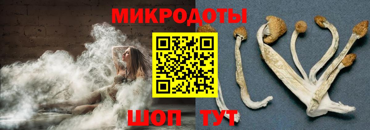 Псилоцибиновые грибы Psilocybine cubensis  Вход с VPN  Луховицы 